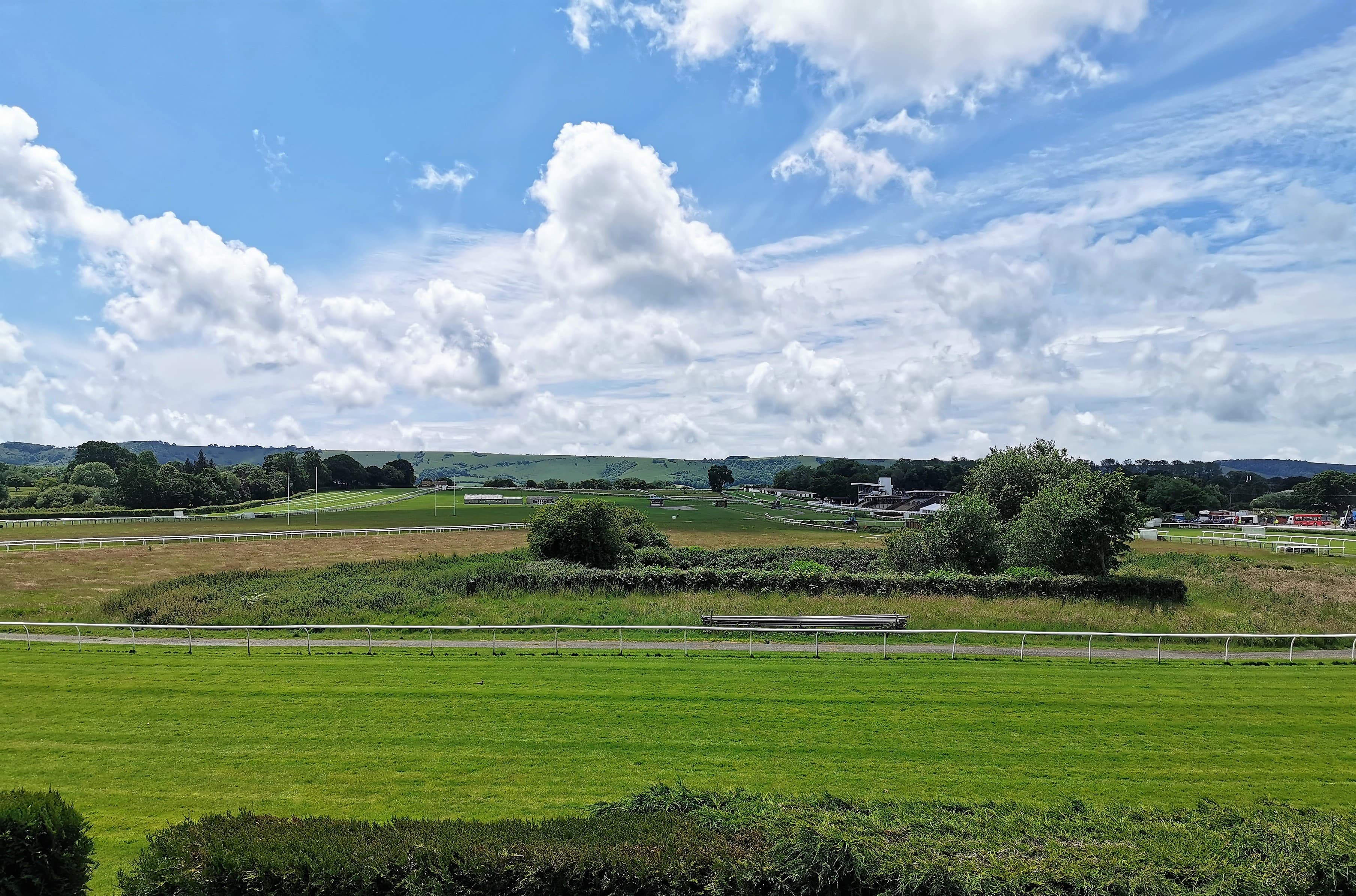 Plumpton Racecourse in summer, the rails running away across the green circuit with the South Downs along the skyline.