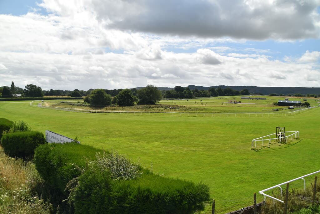 Plumpton's turf circuit in summer, a hurdle out on the far side and the Downs closing the view.