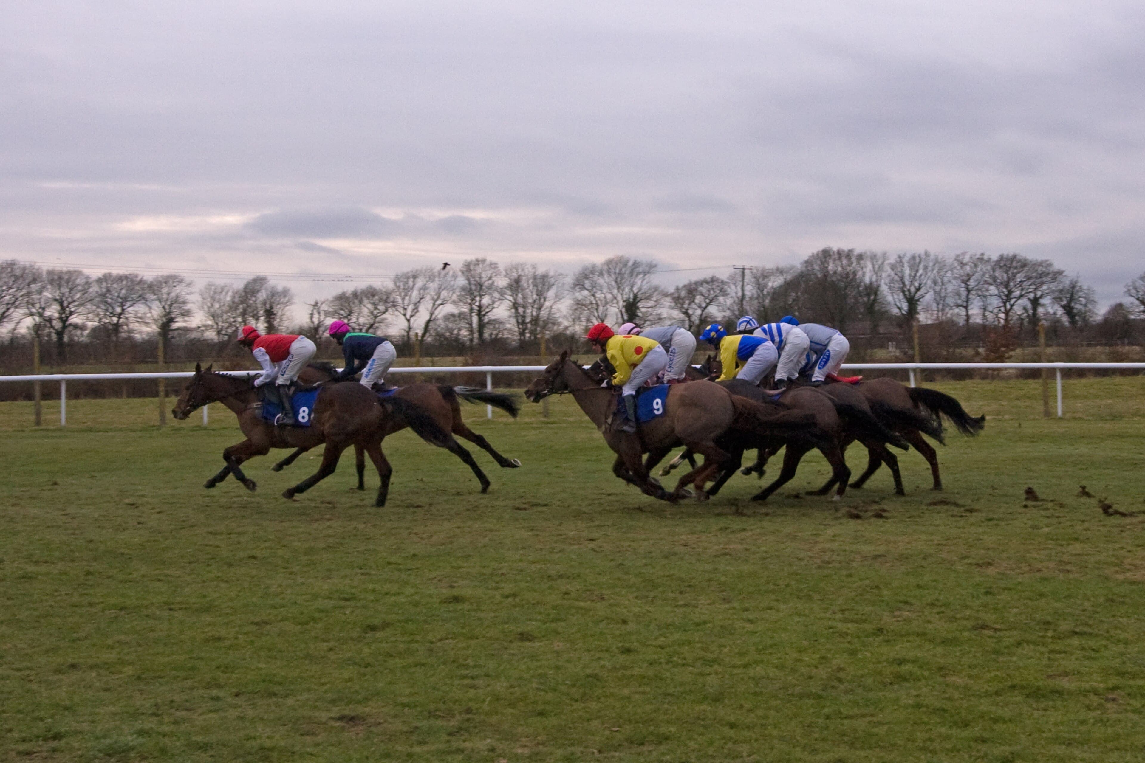 A field of jumpers racing away from the stands at Plumpton on a grey winter afternoon, strung out along the far rail.