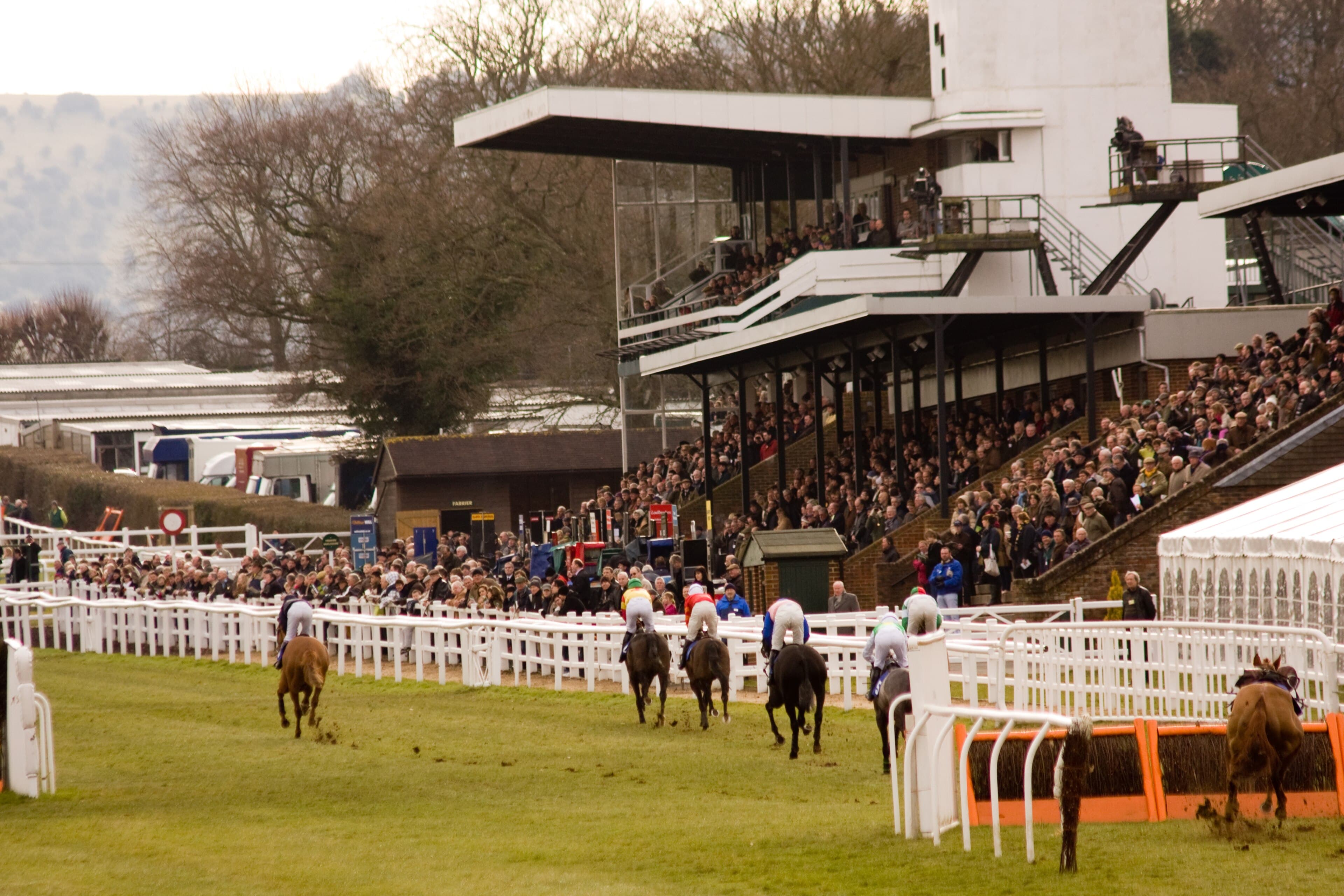 Runners turning for home past the packed stands at Plumpton, the Downs faint behind the roof line.