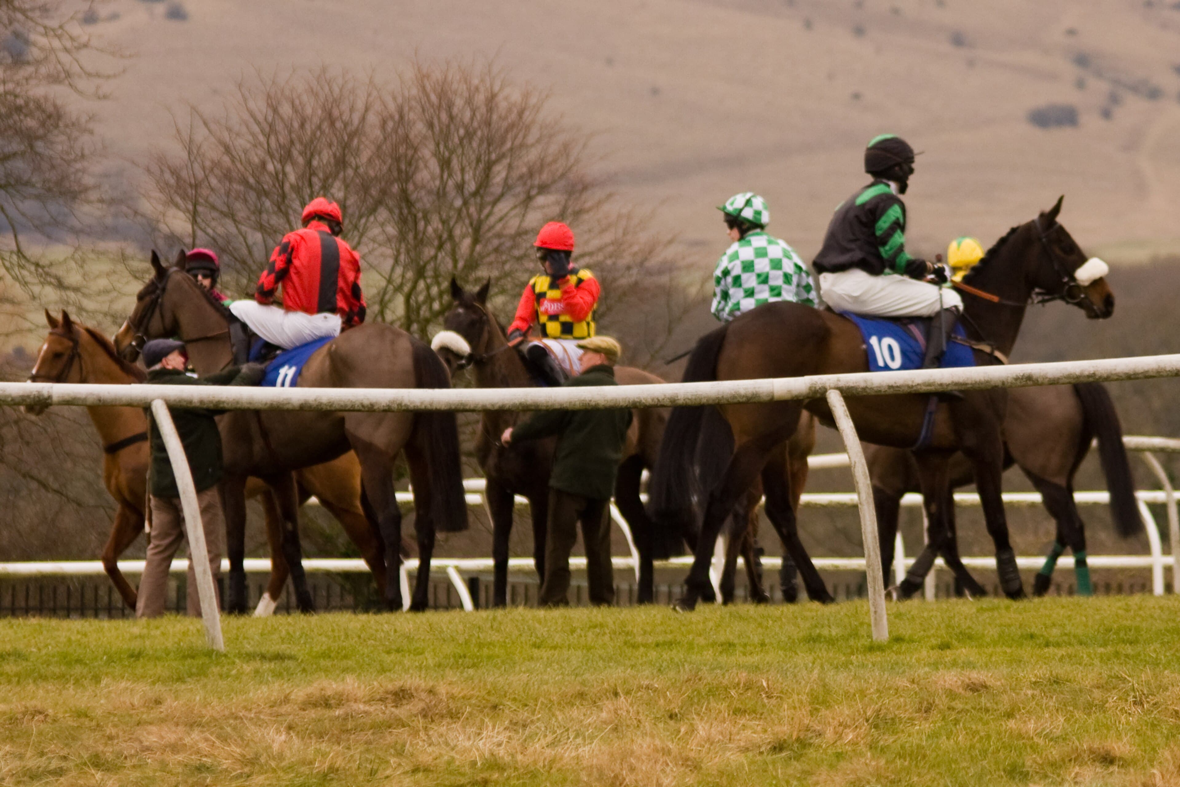 Runners circling at the start at Plumpton, the bare flank of the South Downs rising behind them.