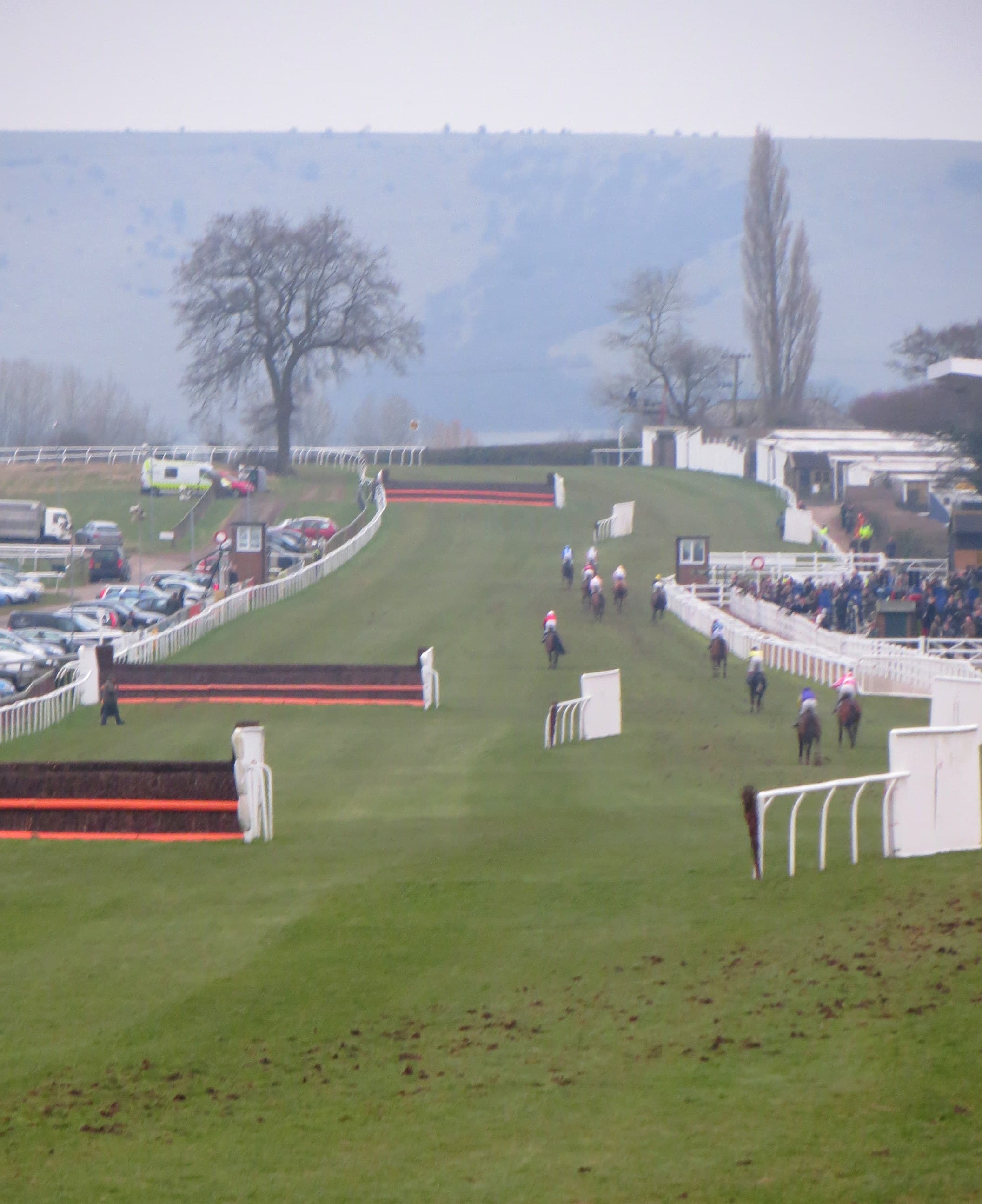 The uphill home straight at Plumpton in mist, a small field coming past the wings of a hurdle.