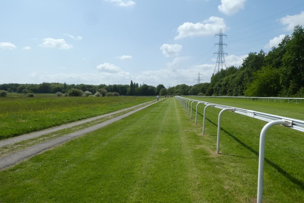 Rails on both sides of the Pontefract straight in early summer, the track running away to the trees.