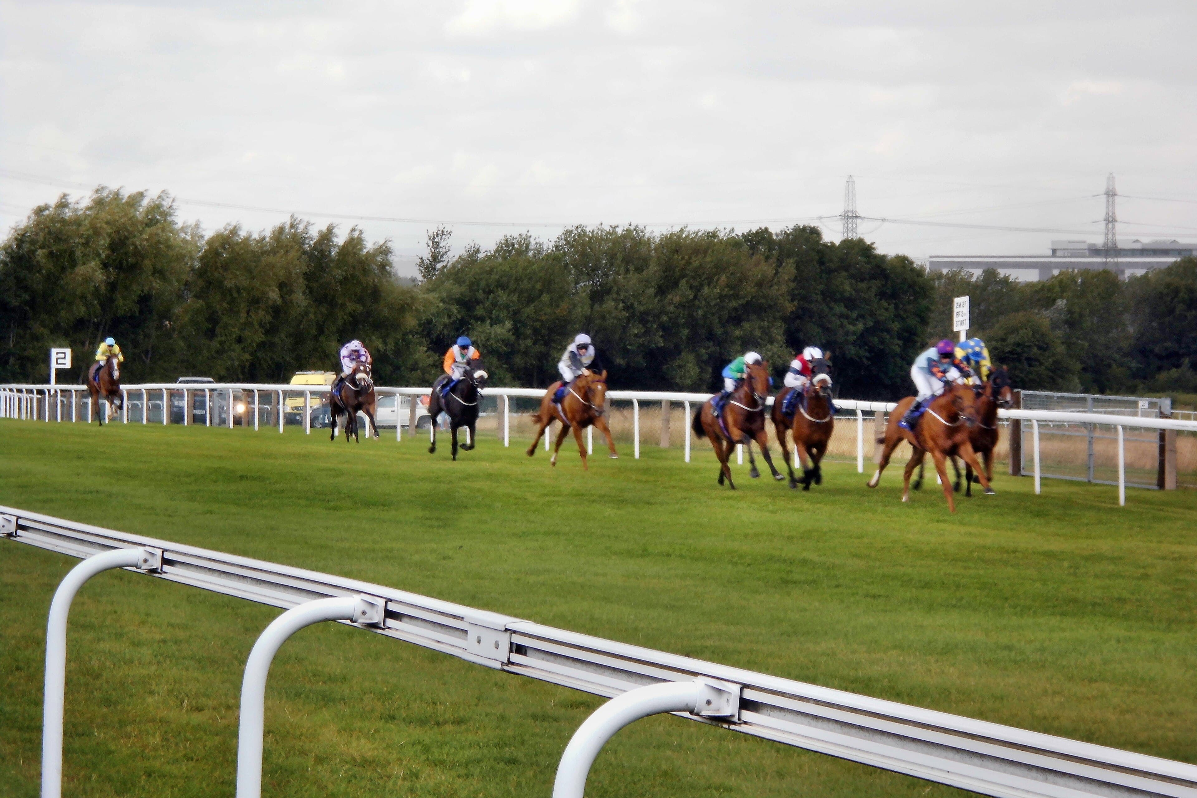 Flat runners racing towards the camera round the bend at Pontefract, the field strung across the track.