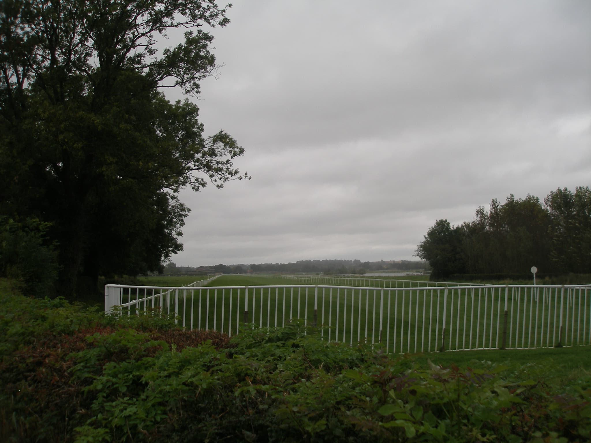 The rail at the end of the straight at Ripon, shrubs in the foreground and mist over the far trees.