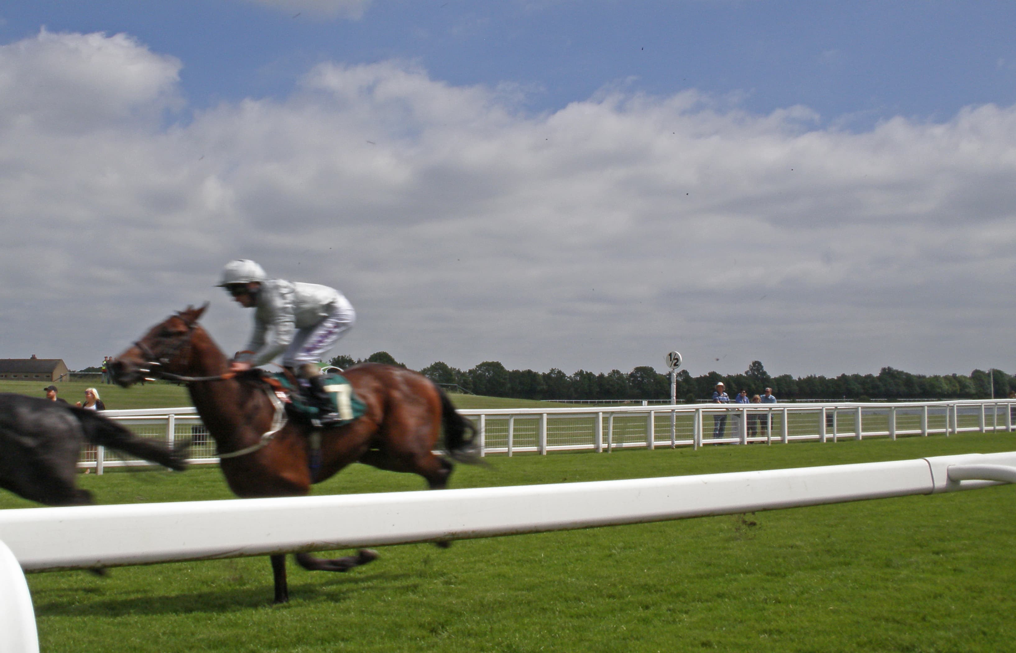 A single runner galloping past the rail at Ripon, the empty course stretching away behind.