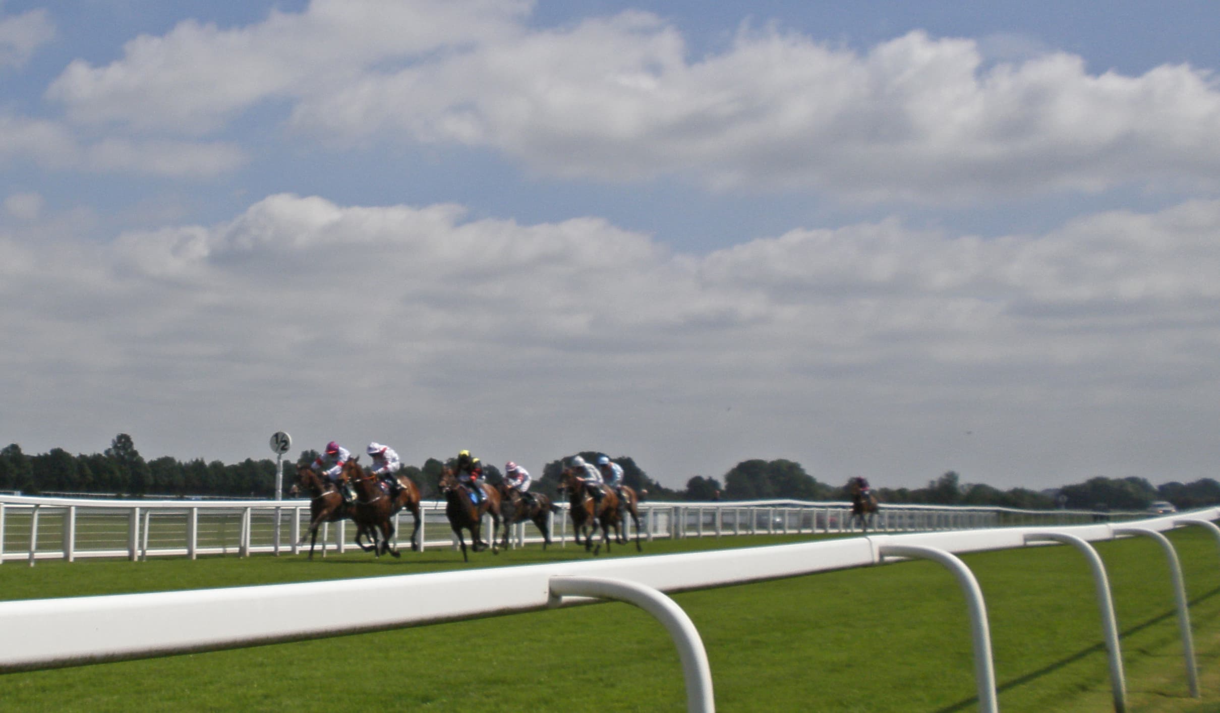 The field racing along the far rail at Ripon under a high summer sky.