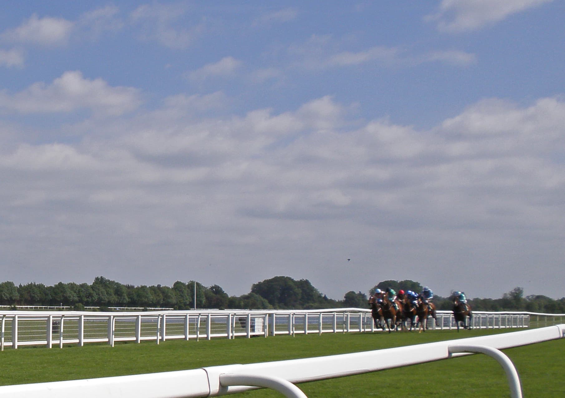 Runners bunched on the far side at Ripon, the white rails running away to the trees.