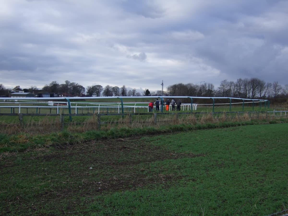 The rail at Sedgefield on a winter raceday, a handful of spectators strung along it.