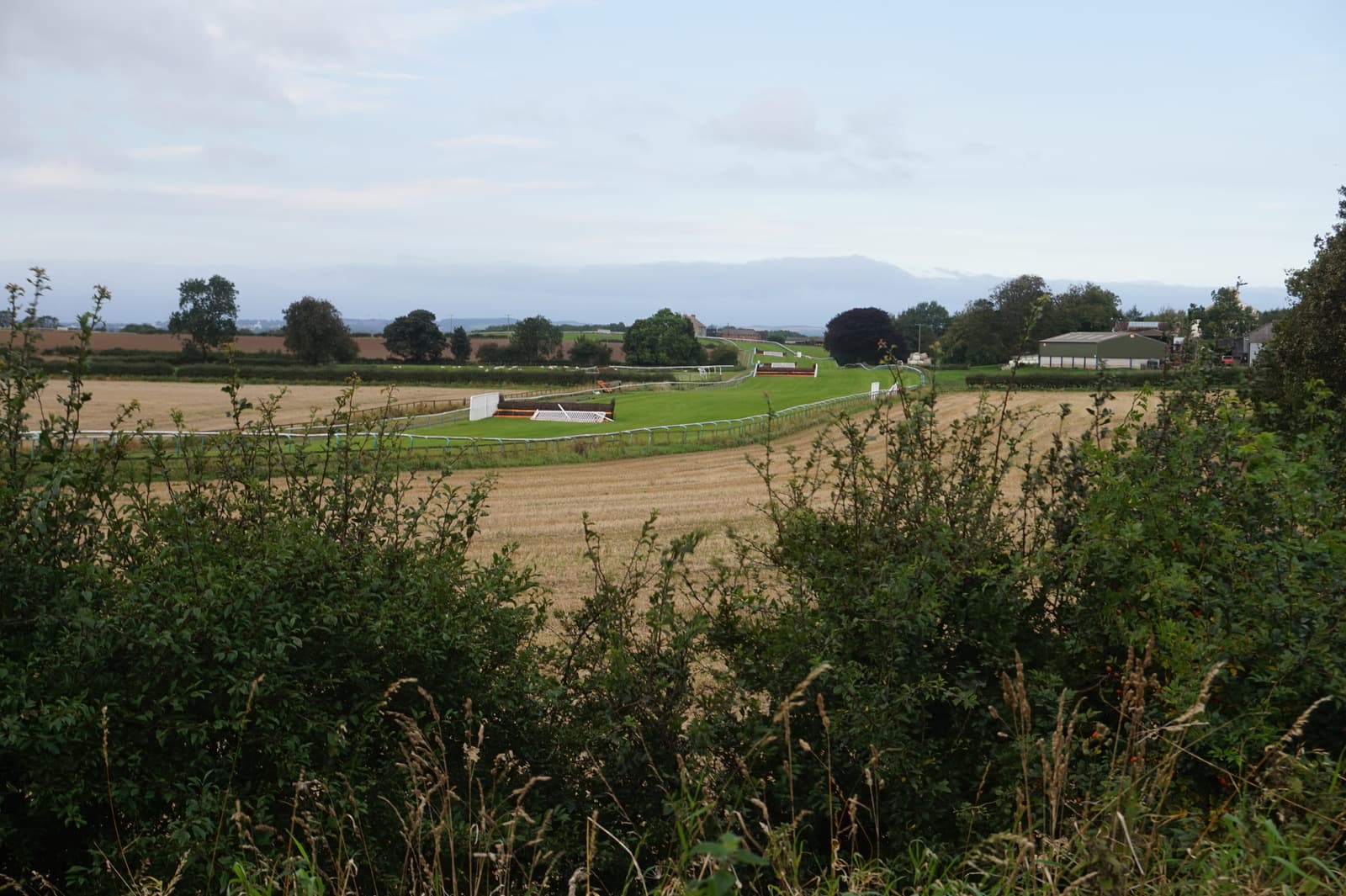 Sedgefield Racecourse seen over the hedge from the lane, the far rail curving round past Sands Hall Farm.