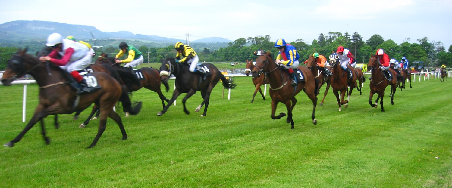 A full field of runners spread across the turf at Sligo, Ben Bulben and the Dartry hills on the skyline.