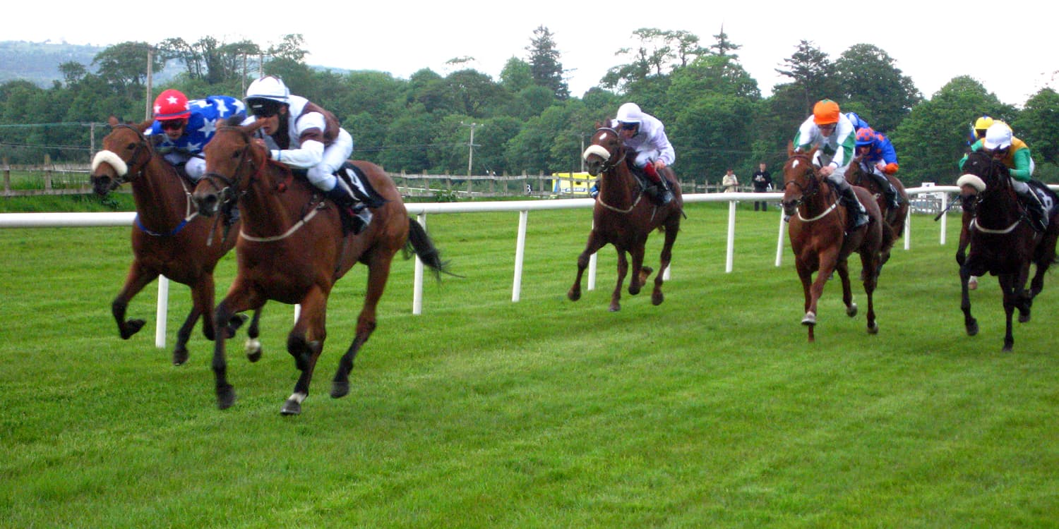 A field of runners comes towards the camera on the turf at Sligo, the leaders clear of the pack with wooded hills behind.