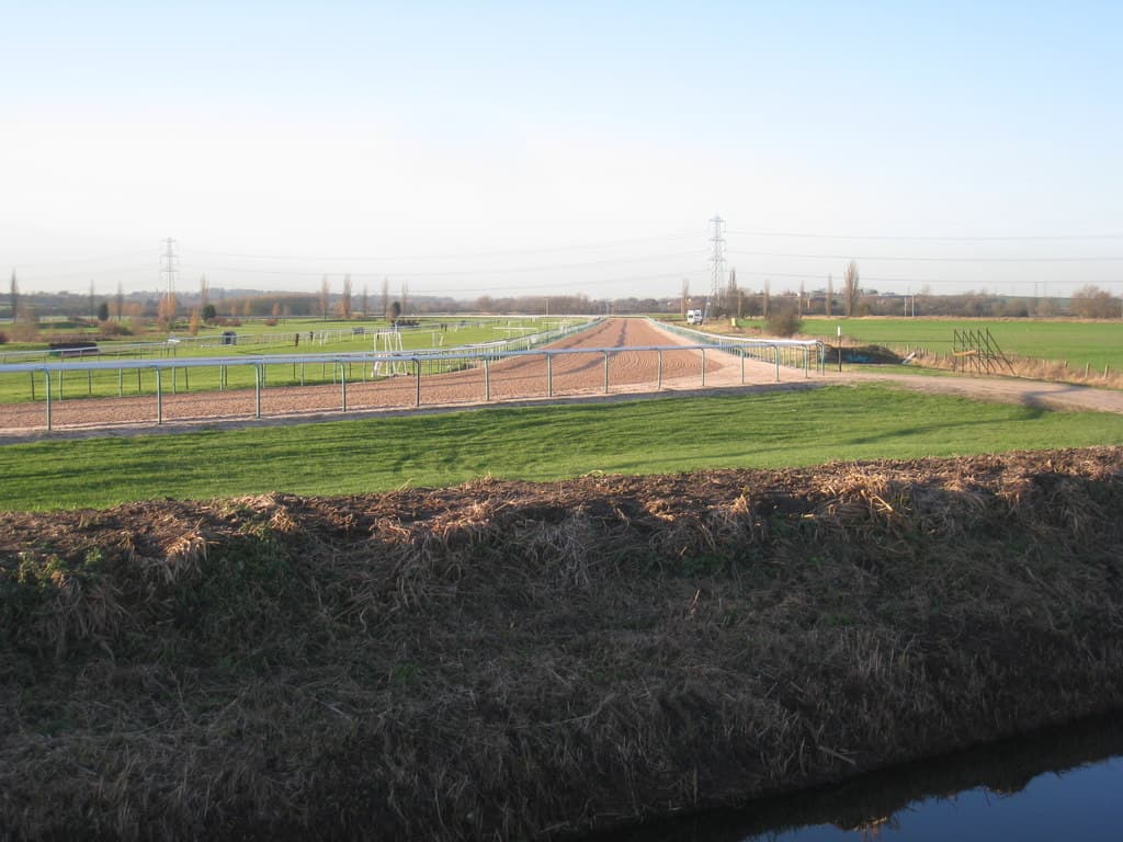 One of the straights at Southwell, the sand track and the turf course running side by side towards the stands.