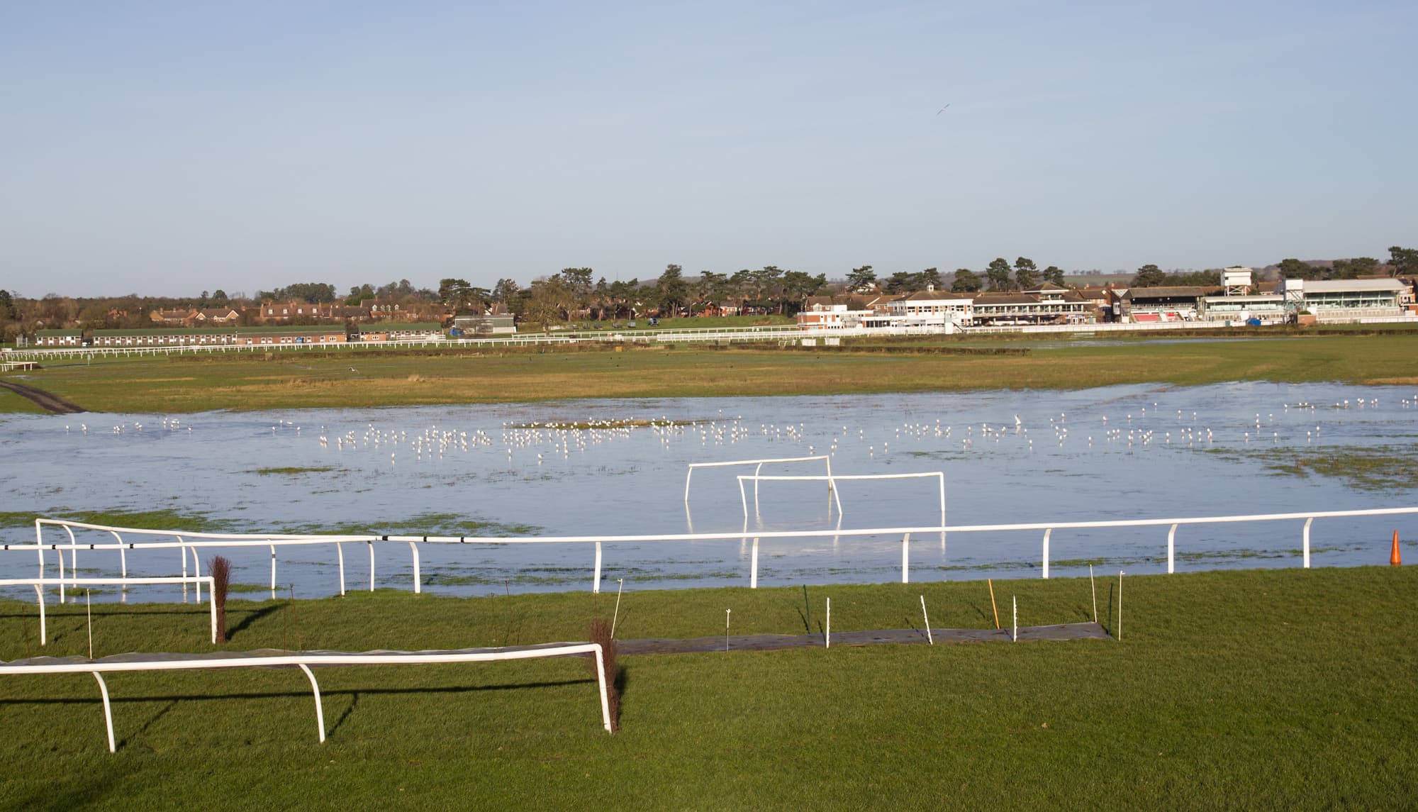 Stratford-on-Avon racecourse under flood water, gulls standing across the drowned infield with the stands beyond.