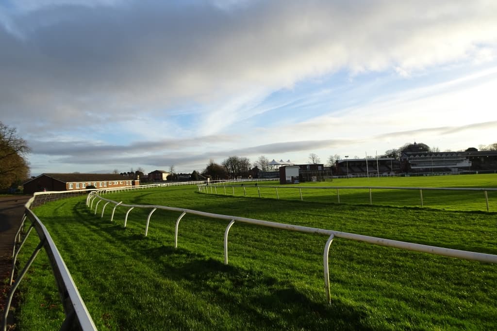 The running rail at Thirsk curving away in evening light, the stands small on the far side.