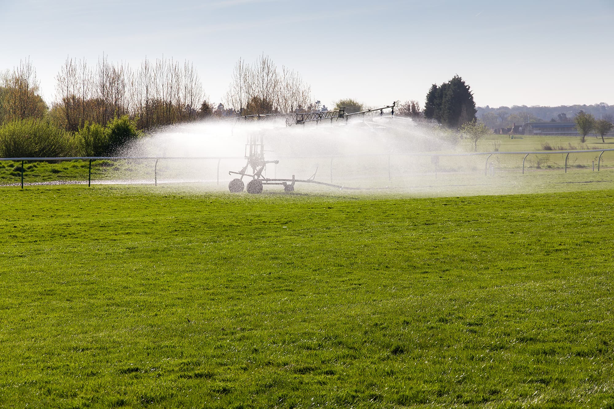 The watering machine at work on the turf at Warwick, spray drifting across the course in spring sunshine.