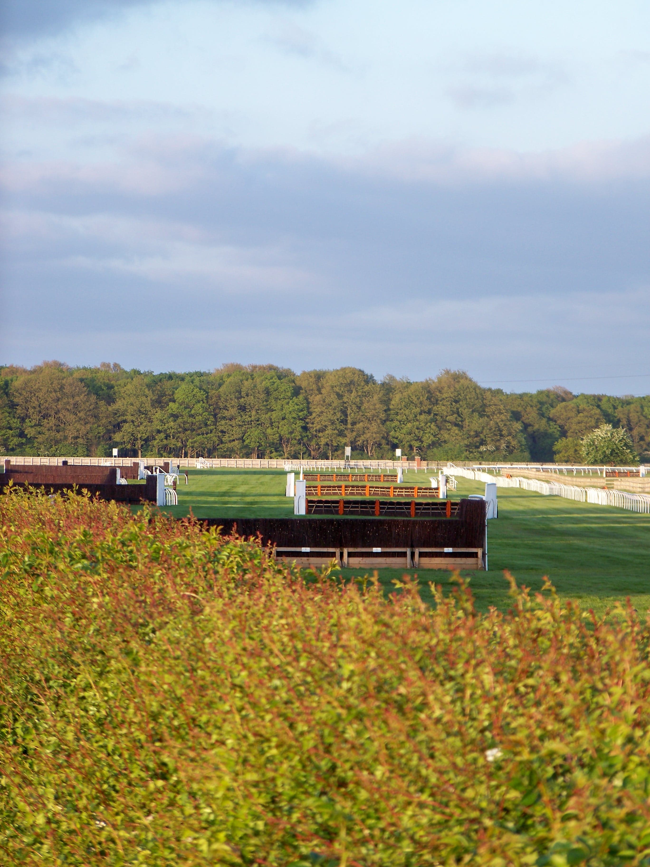 Birch steeplechase fences on the jumps course at Wetherby, with the white running rail curving away towards the trees.