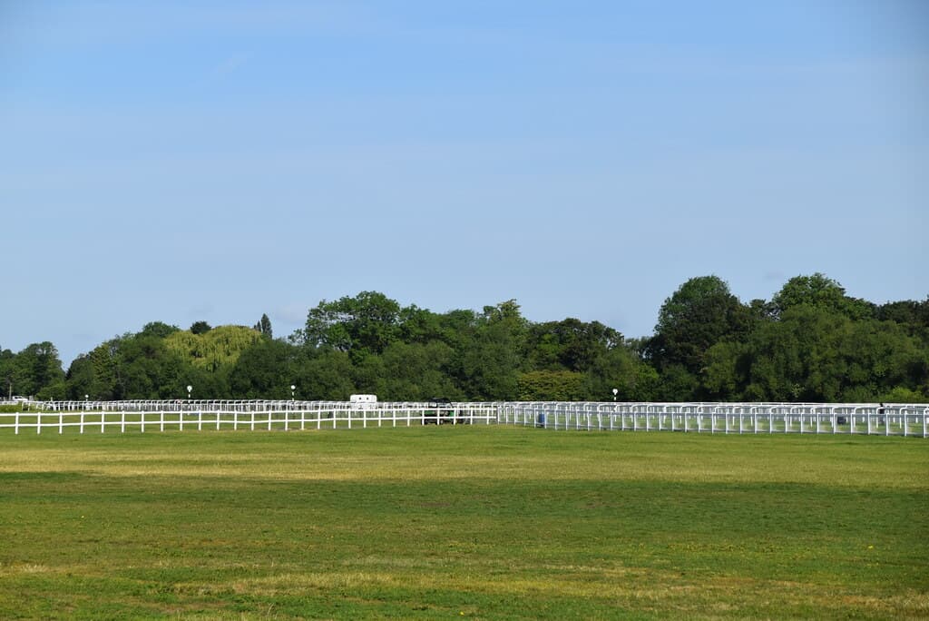 The turf and white running rails at Royal Windsor racecourse with a line of trees along the boundary.