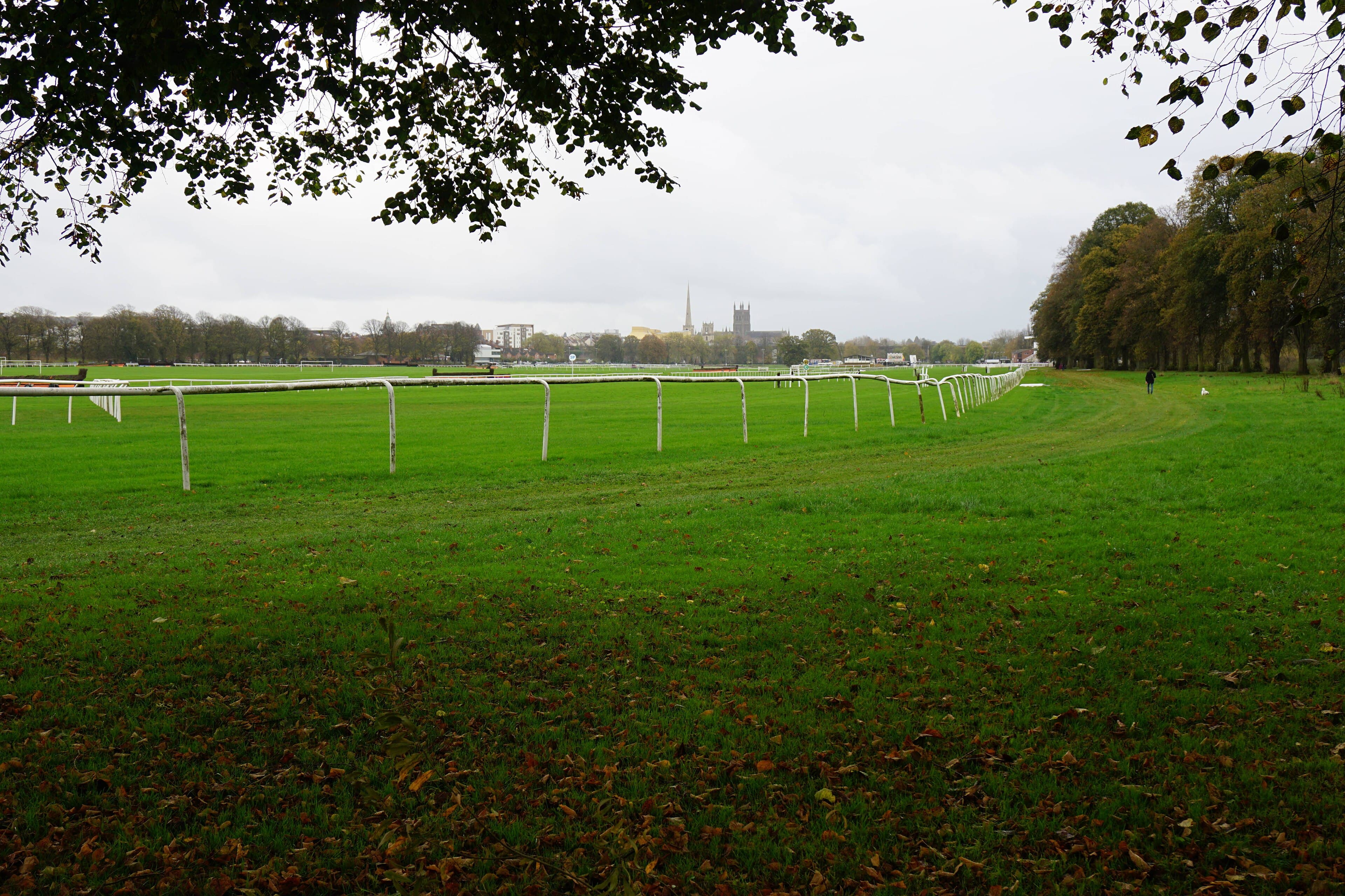 The far end of Worcester racecourse on Pitchcroft in autumn, white running rails curving away with the cathedral tower on the skyline.