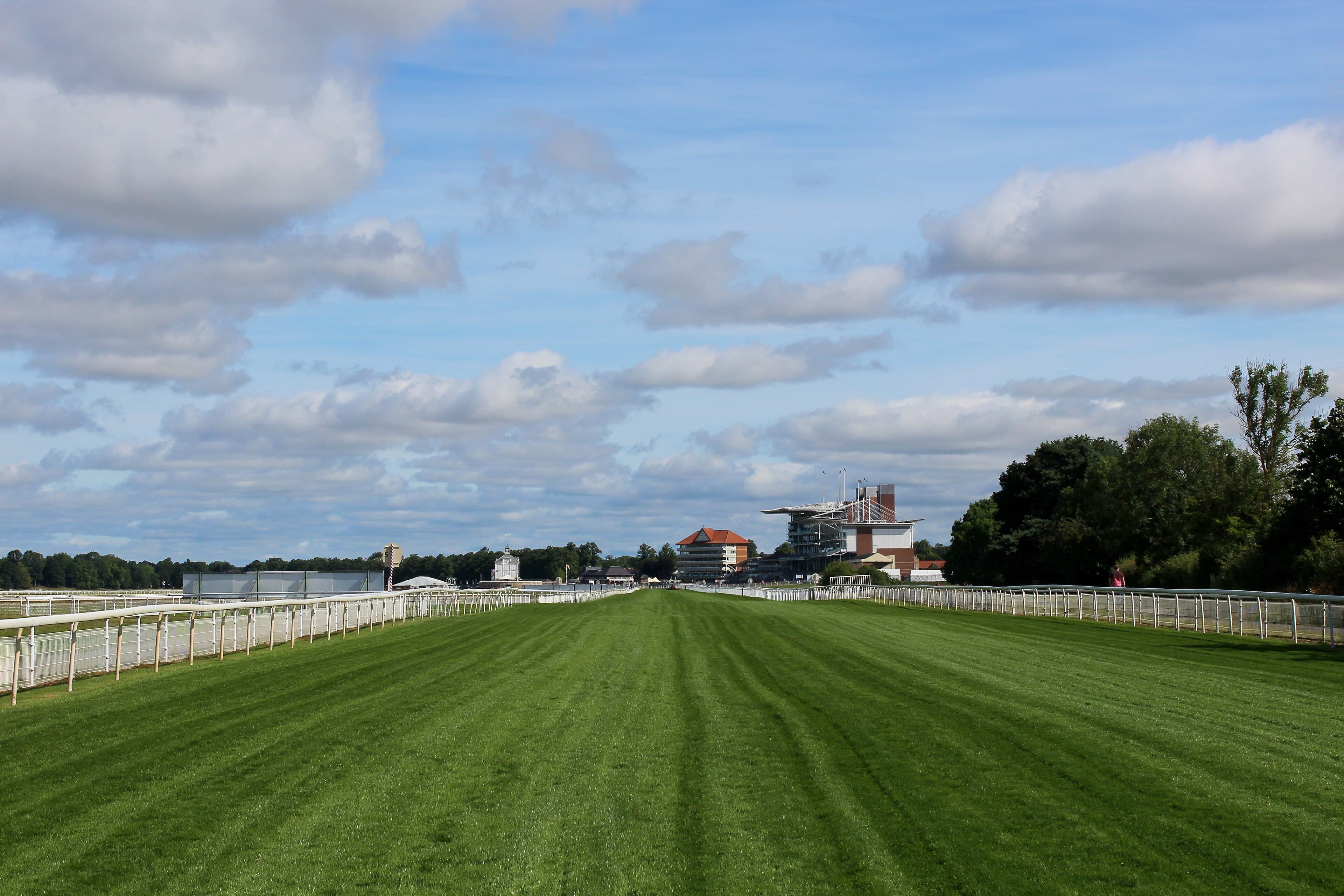 Looking up the Knavesmire at York towards the distant stands on a bright summer afternoon.